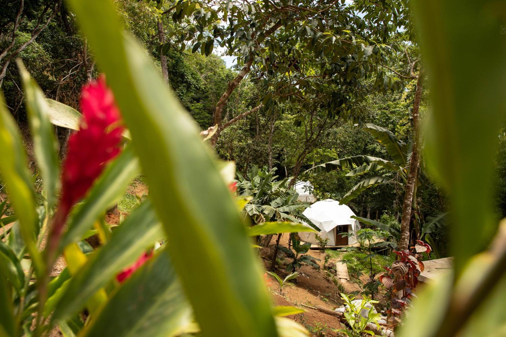Glamping Sitio Das Tartarugas Angra dos Reis Buitenkant foto
